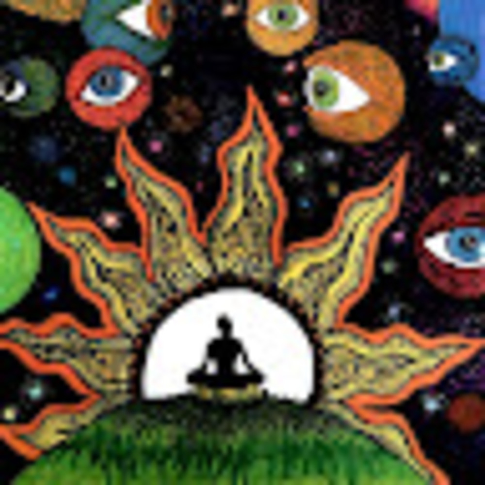 Meet your Posher, Elise